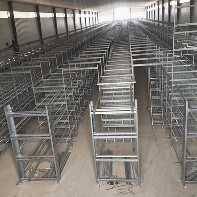 Manual 4 Tiers Pvc Automatic Poultry Feeding System SGS Layer Chicken Cage