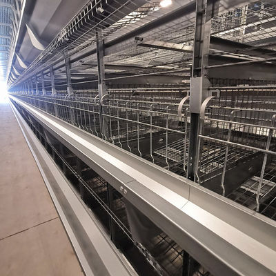 Fabrika Doğrudan H Tipi Broiler Pil Kafes Sistemi, Sıcak Daldırma Galvanize, Yumuşak Plastik Ağı Mat ve Otomatik PP Kuşak Gübre Temizleme