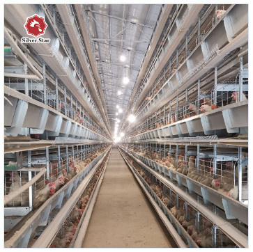 Philippines Galvanized Egg Layer Chicken Cage H Type 68KG ISO9001