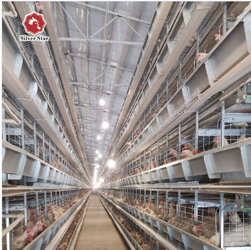 H Type Chicken Poultry Cage Coops Automatic Battery Cages