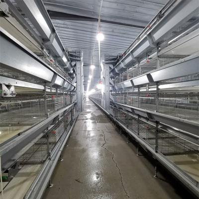 3-9 Floor Farm Battery Chicken Cage With Automatic System High Density