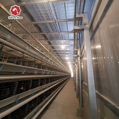 50.000'den fazla tavuk çiftliği için anahtar anahtar H Tipi Katmanlı Pil Kafesleri Projesi Çözümü