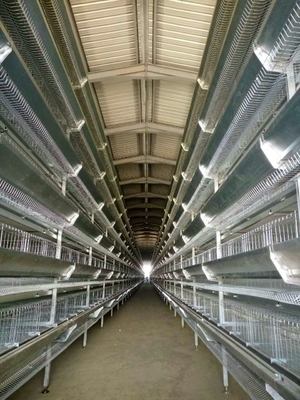 Hot Galvanized Layer Cage System For Poultry Farming