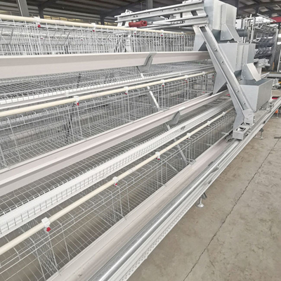 Hot Galvanized Layer Cage System For Poultry Farming
